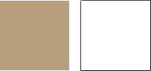 PALETA DE COLORES hombres